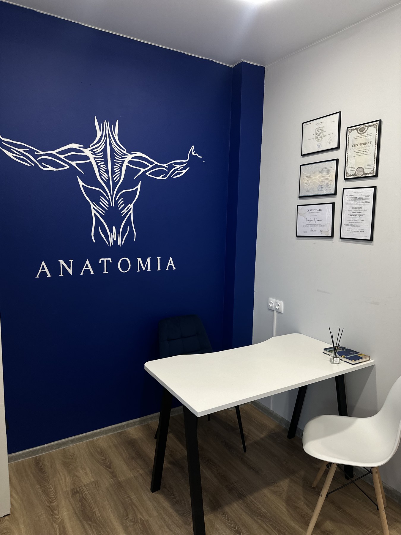 Фирменная стена ANATOMIA