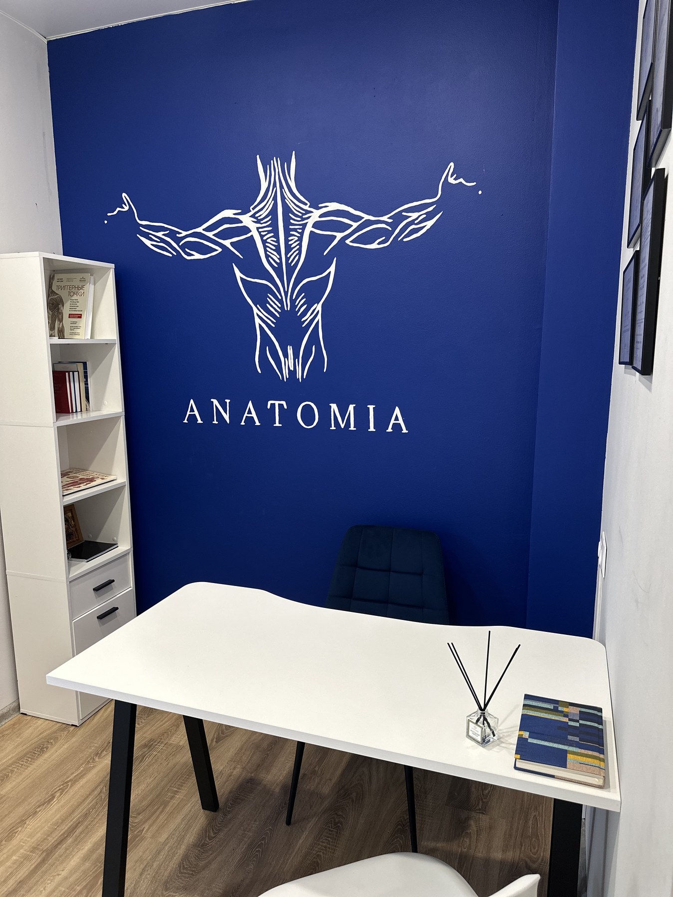 Зона консультации ANATOMIA